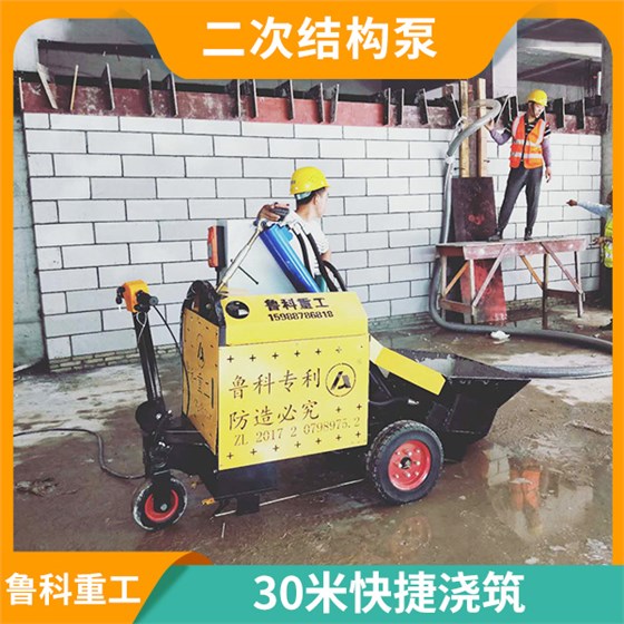 二次結(jié)構(gòu)輸送泵 二次結(jié)構(gòu)輸送泵